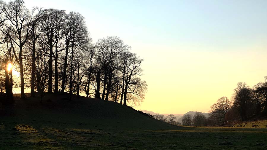 newton house wales 