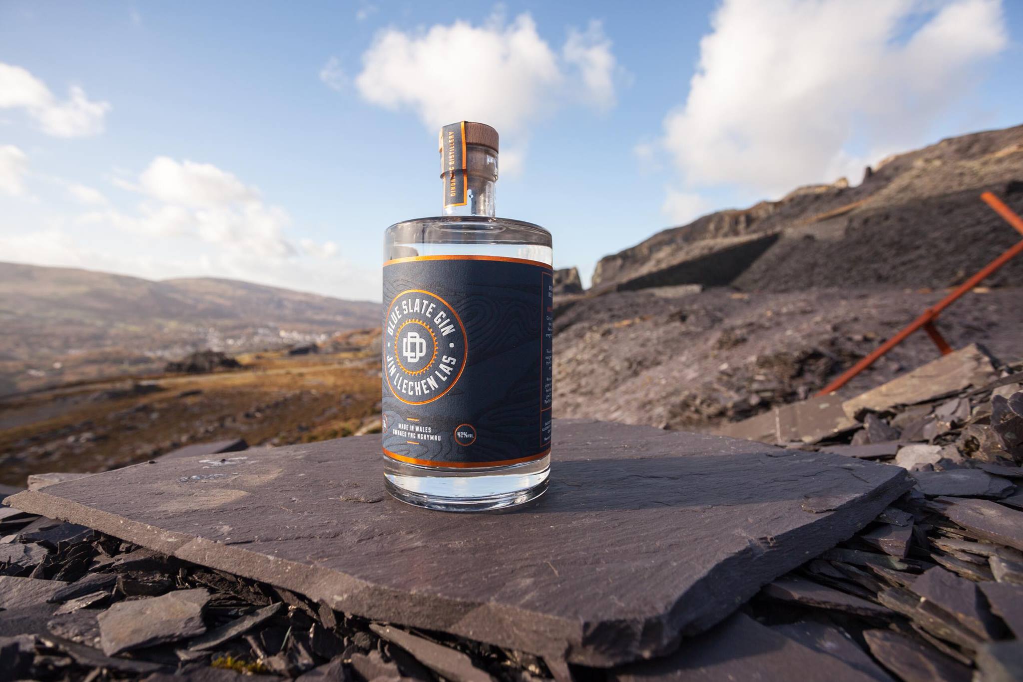 dinorwig welsh gin