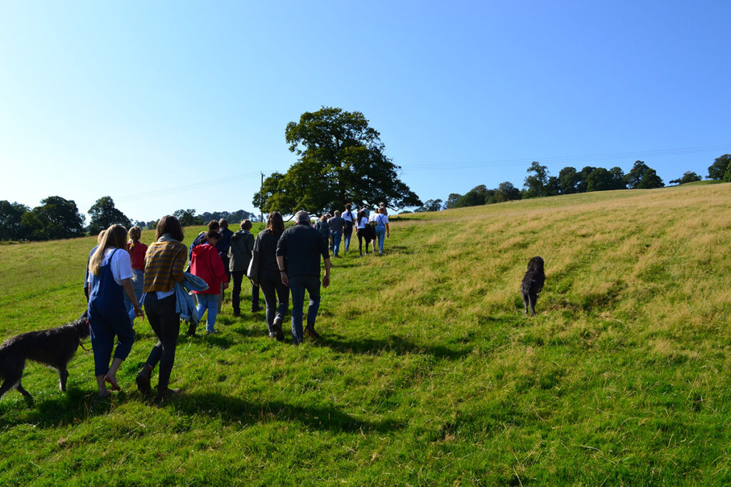 Out on the hill at the Penpont Project