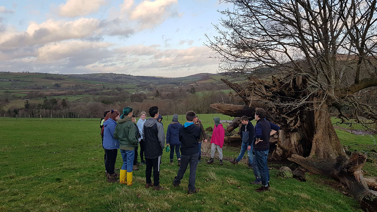 Standing around the oak - The Penpont Project