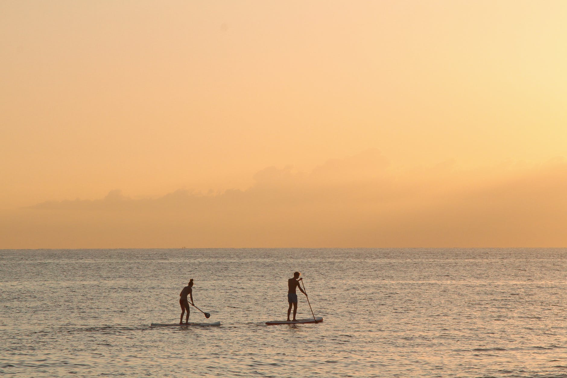 man and woman paddle boarding at sea